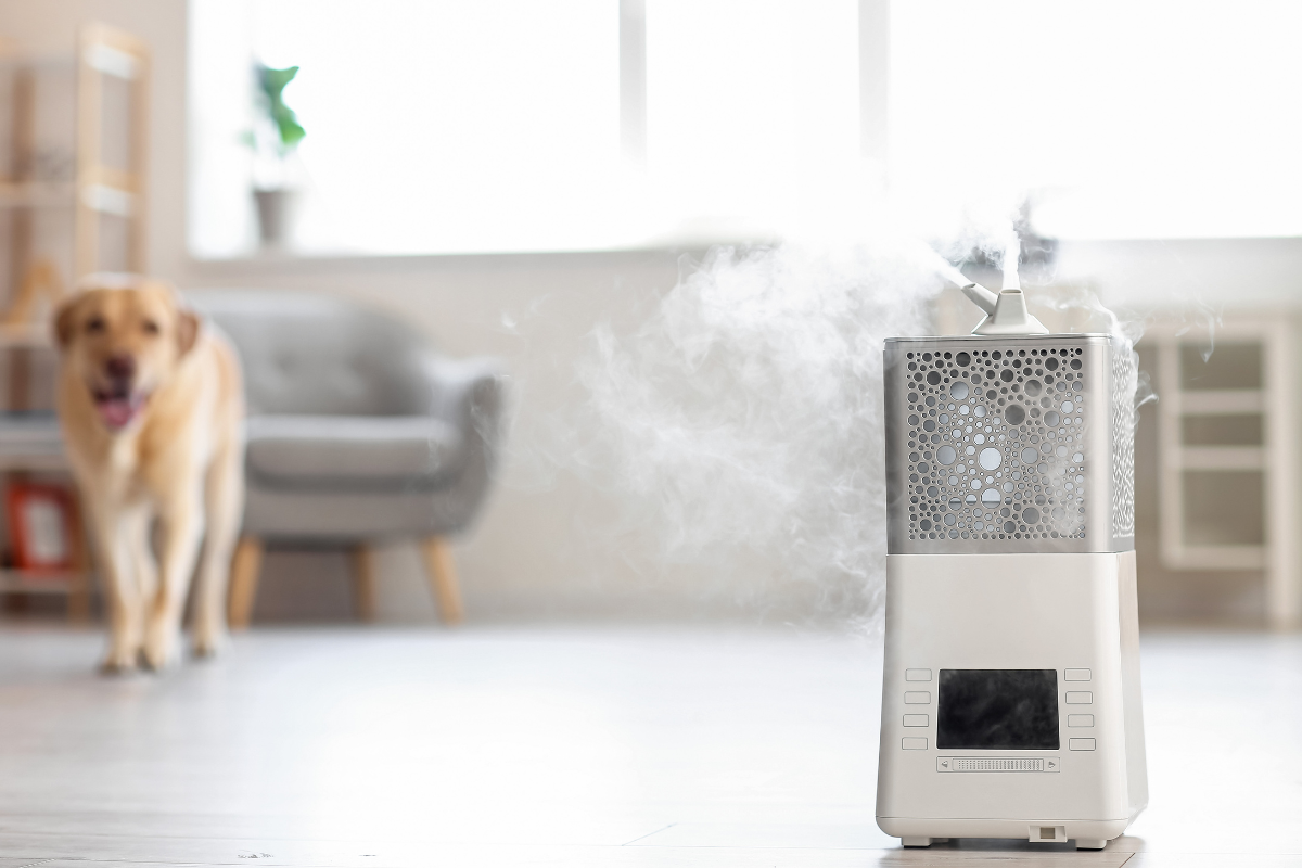 Zbyt suche powietrze w domu – dlaczego to jest problemem?
